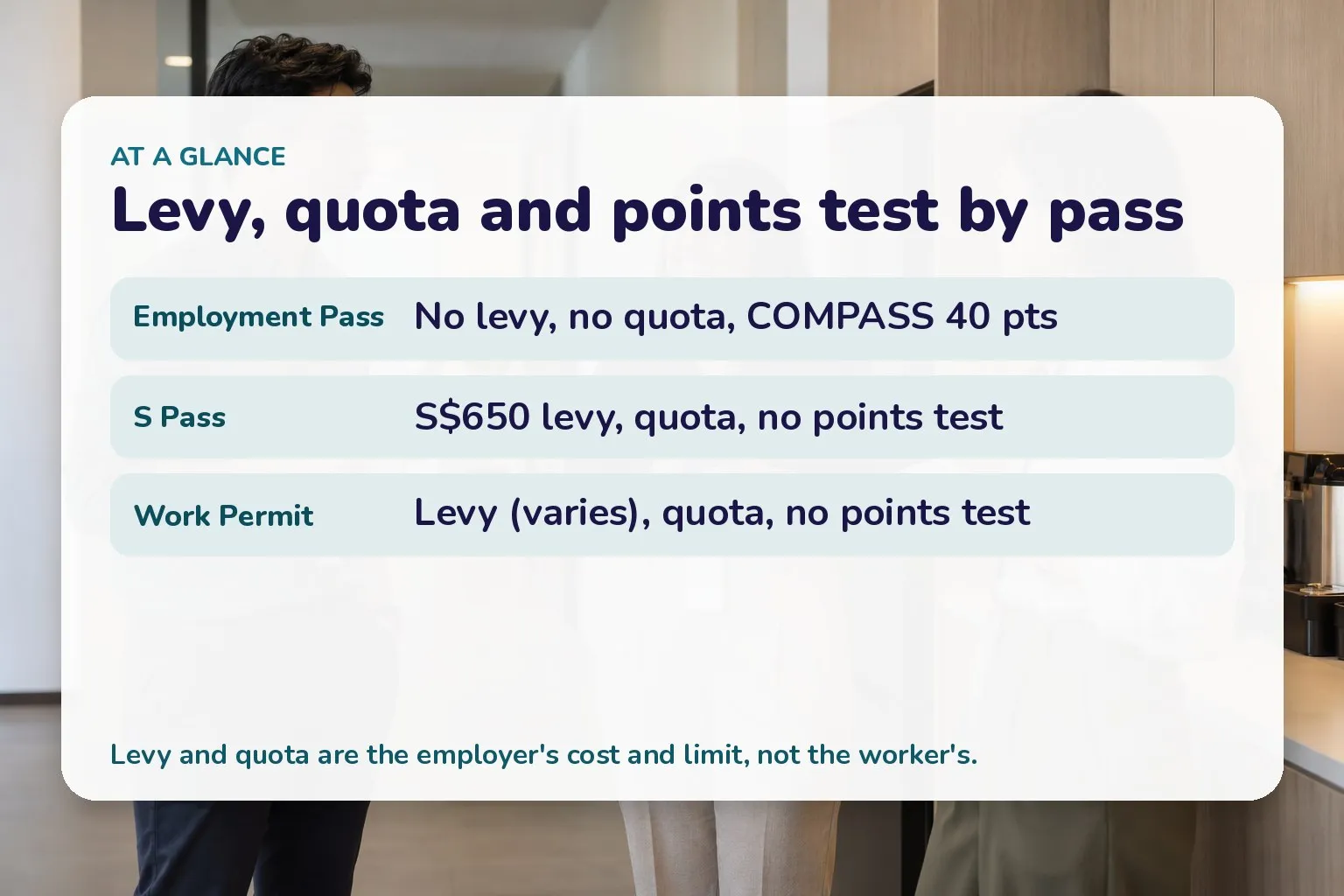 Card comparing levy, quota and points test across Employment Pass, S Pass and Work Permit